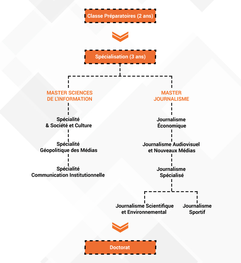 organigramme-formation.jpg