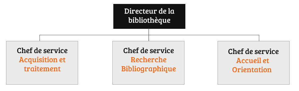 organigramme-bibliotheque.jpg